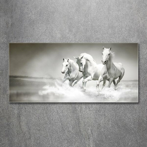 Acrylic print White horses