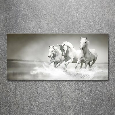 Acrylic print White horses