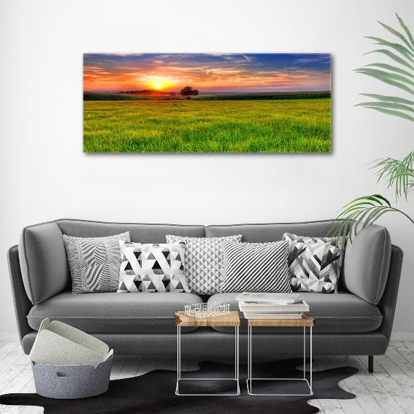 Print on acrylic Sunset meadow