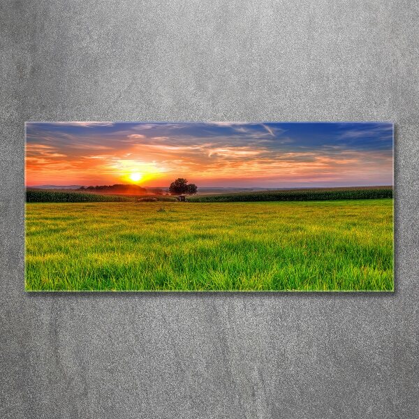 Print on acrylic Sunset meadow