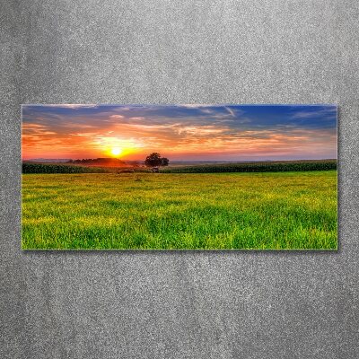 Print on acrylic Sunset meadow