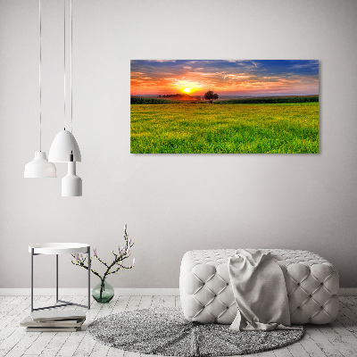 Print on acrylic Sunset meadow