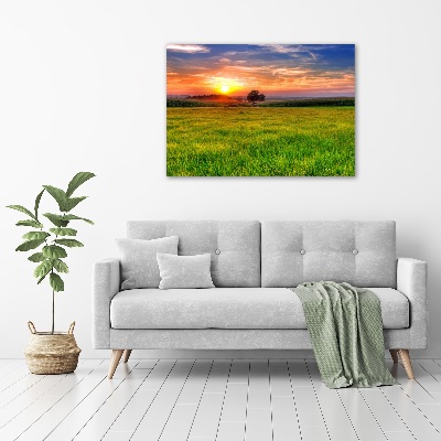 Print on acrylic Sunset meadow