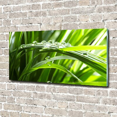 Print on acrylic Drops on the grass