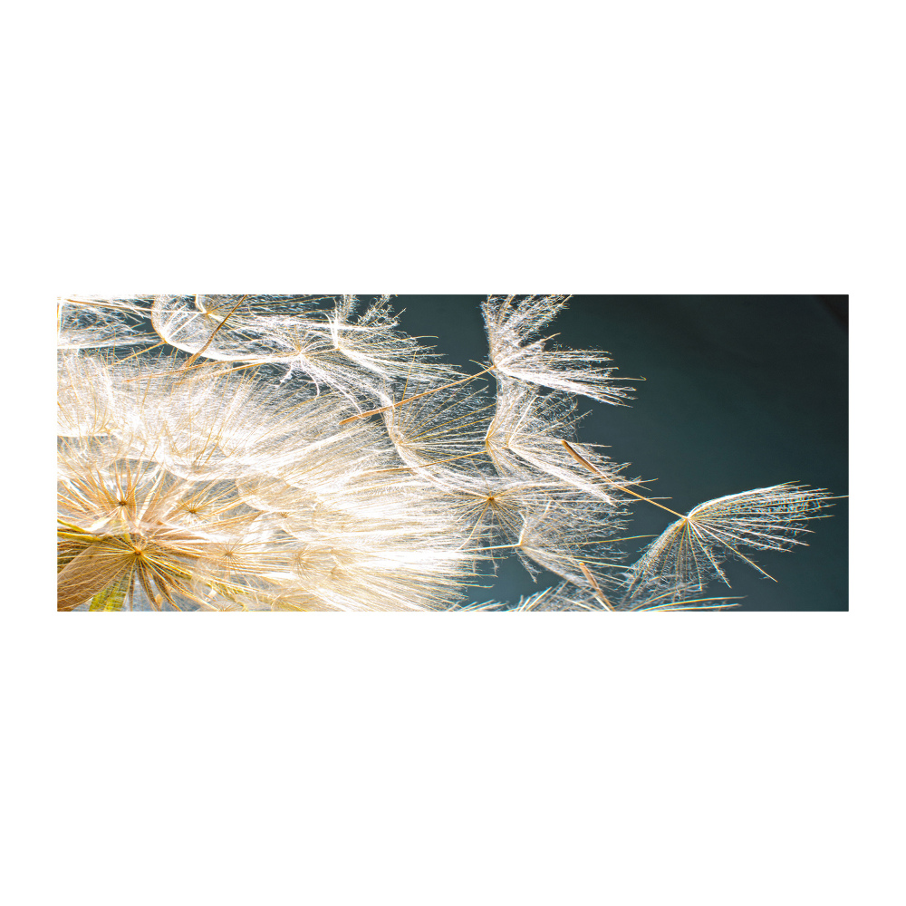 Acrylic wall art Dandelion seeds