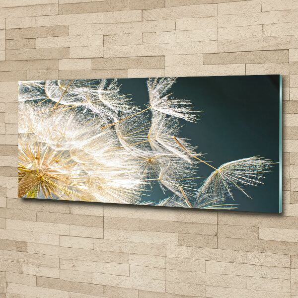 Acrylic wall art Dandelion seeds