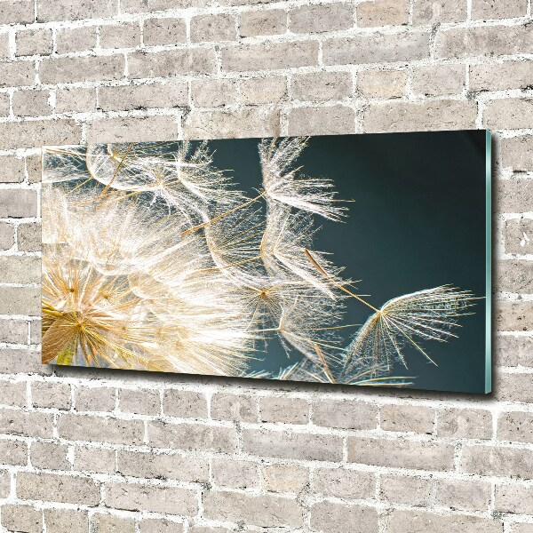 Acrylic wall art Dandelion seeds