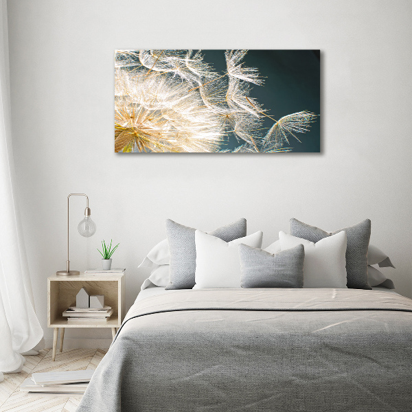 Acrylic wall art Dandelion seeds