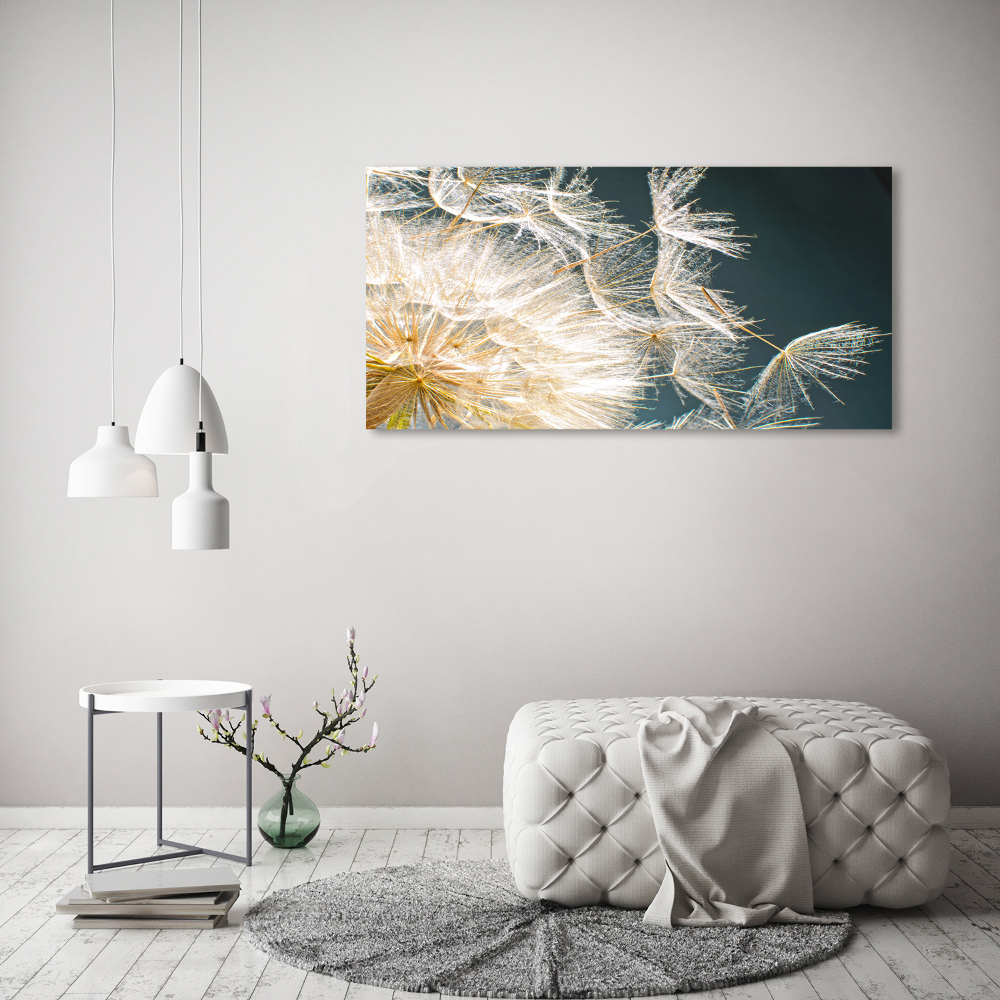 Acrylic wall art Dandelion seeds