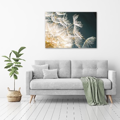 Acrylic wall art Dandelion seeds