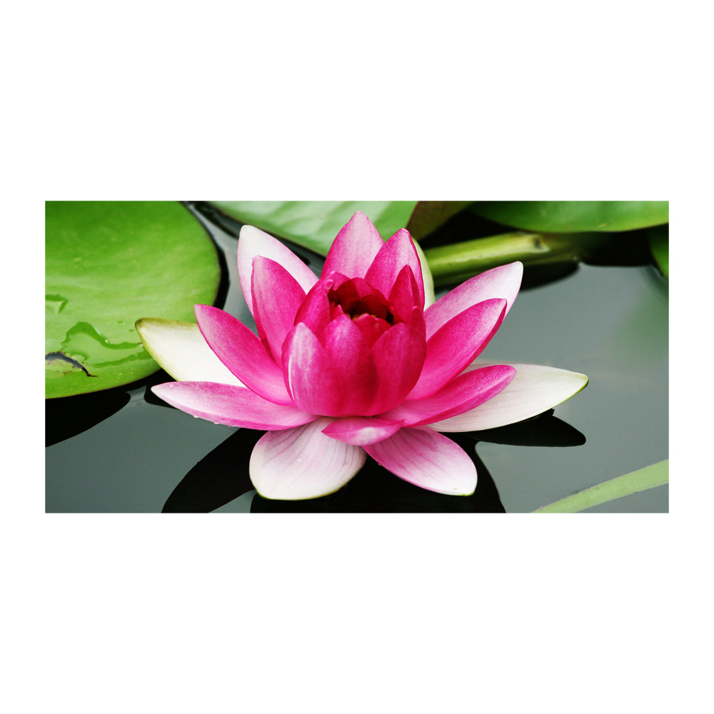 Acrylic wall art water lily