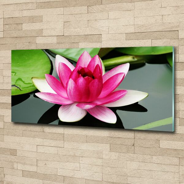 Acrylic wall art water lily