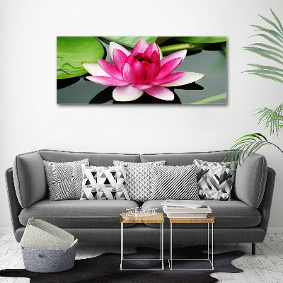 Acrylic wall art water lily