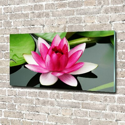 Acrylic wall art water lily