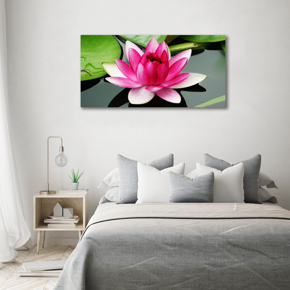 Acrylic wall art water lily