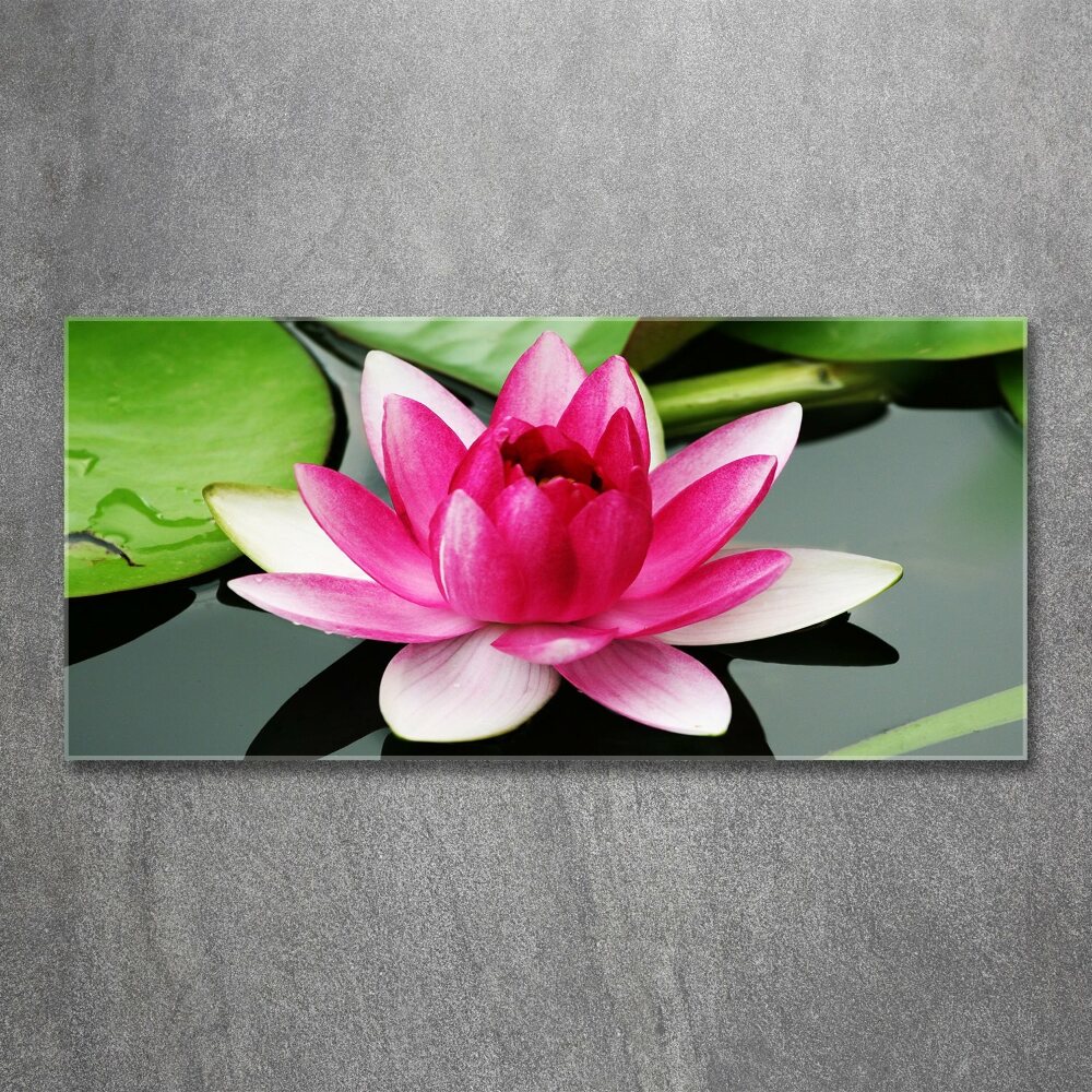 Acrylic wall art water lily