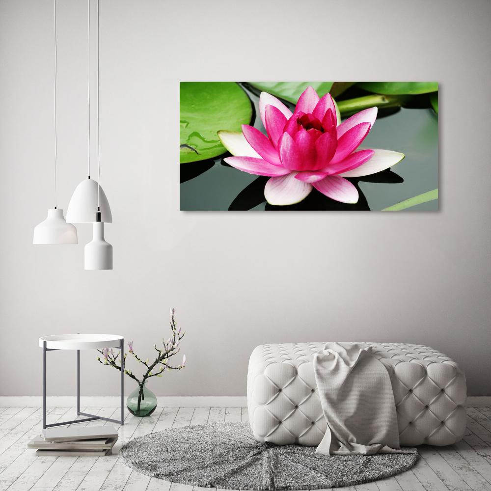 Acrylic wall art water lily