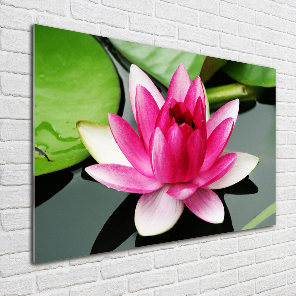 Acrylic wall art water lily