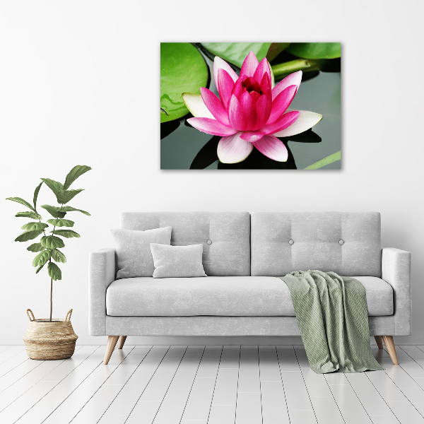 Acrylic wall art water lily