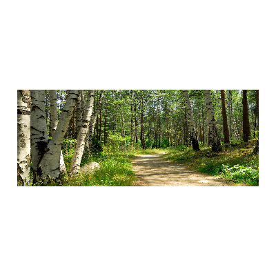 Wall art acrylic Path in the forest