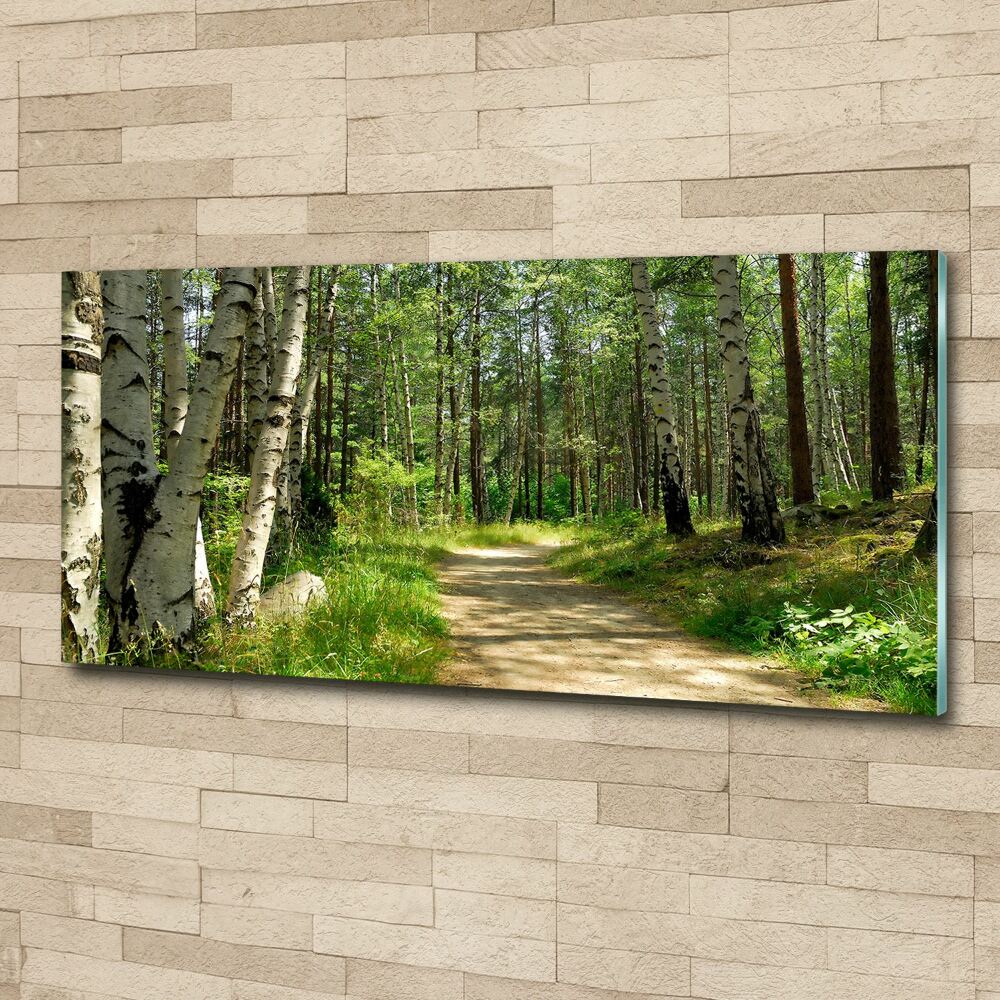 Wall art acrylic Path in the forest