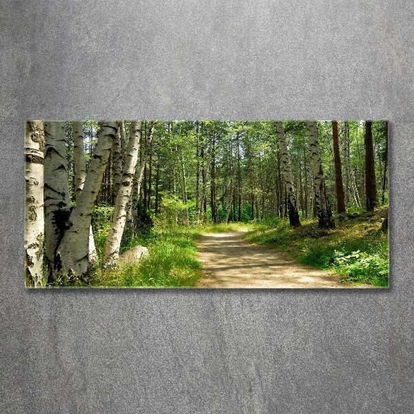 Wall art acrylic Path in the forest