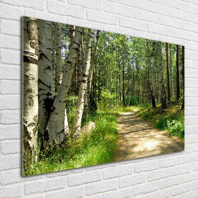 Wall art acrylic Path in the forest