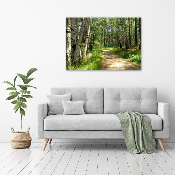 Wall art acrylic Path in the forest