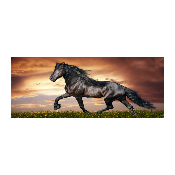 Wall art acrylic Trotting horse