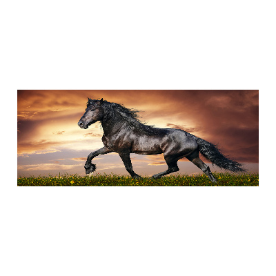 Wall art acrylic Trotting horse