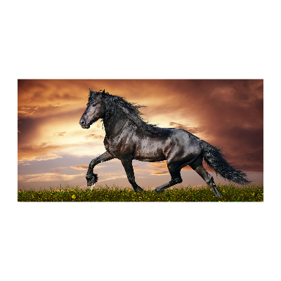 Wall art acrylic Trotting horse