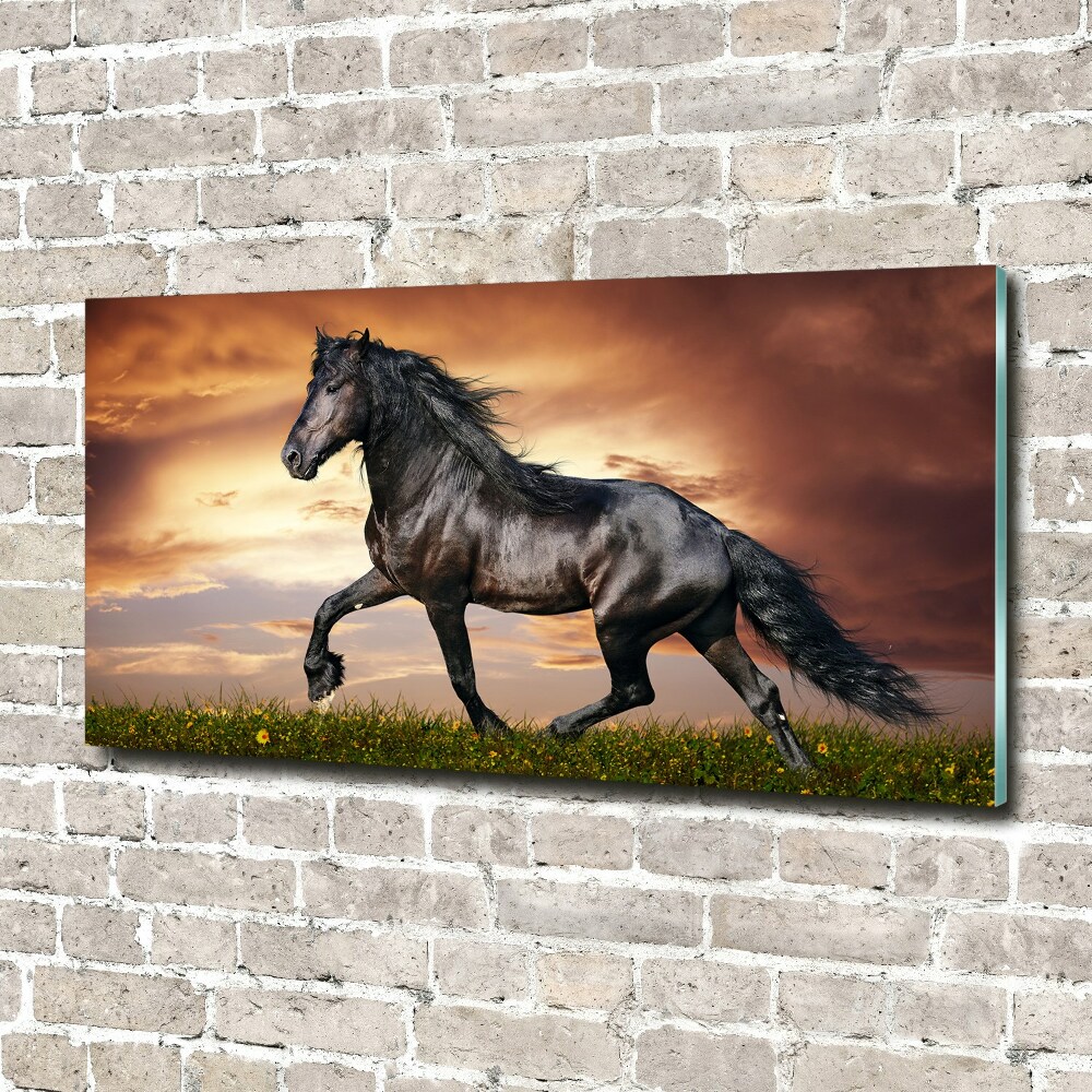 Wall art acrylic Trotting horse