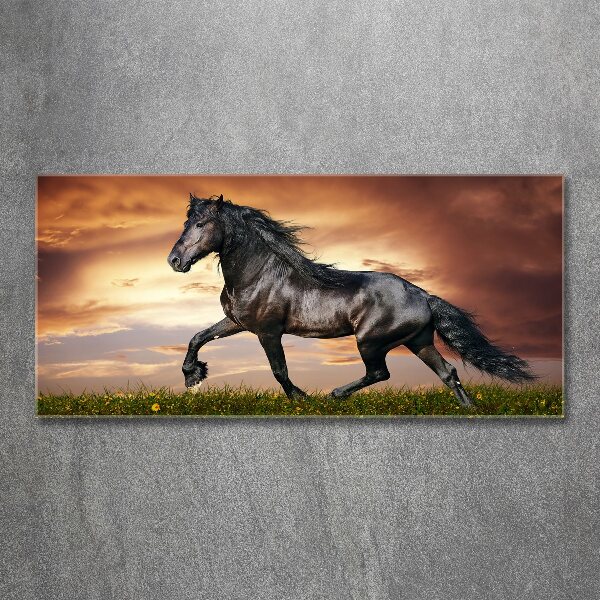 Wall art acrylic Trotting horse