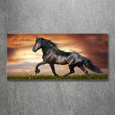 Wall art acrylic Trotting horse