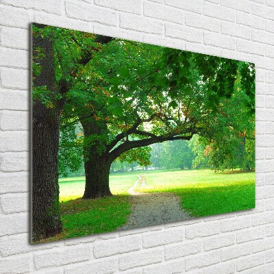 Acrylic wall art Park in autumn