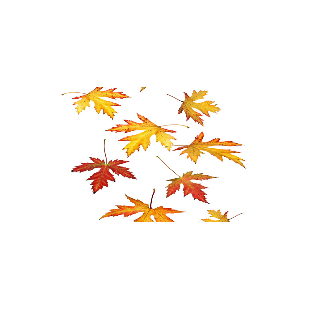 Wall art acrylic Autumn leaves