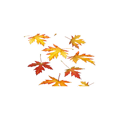 Wall art acrylic Autumn leaves