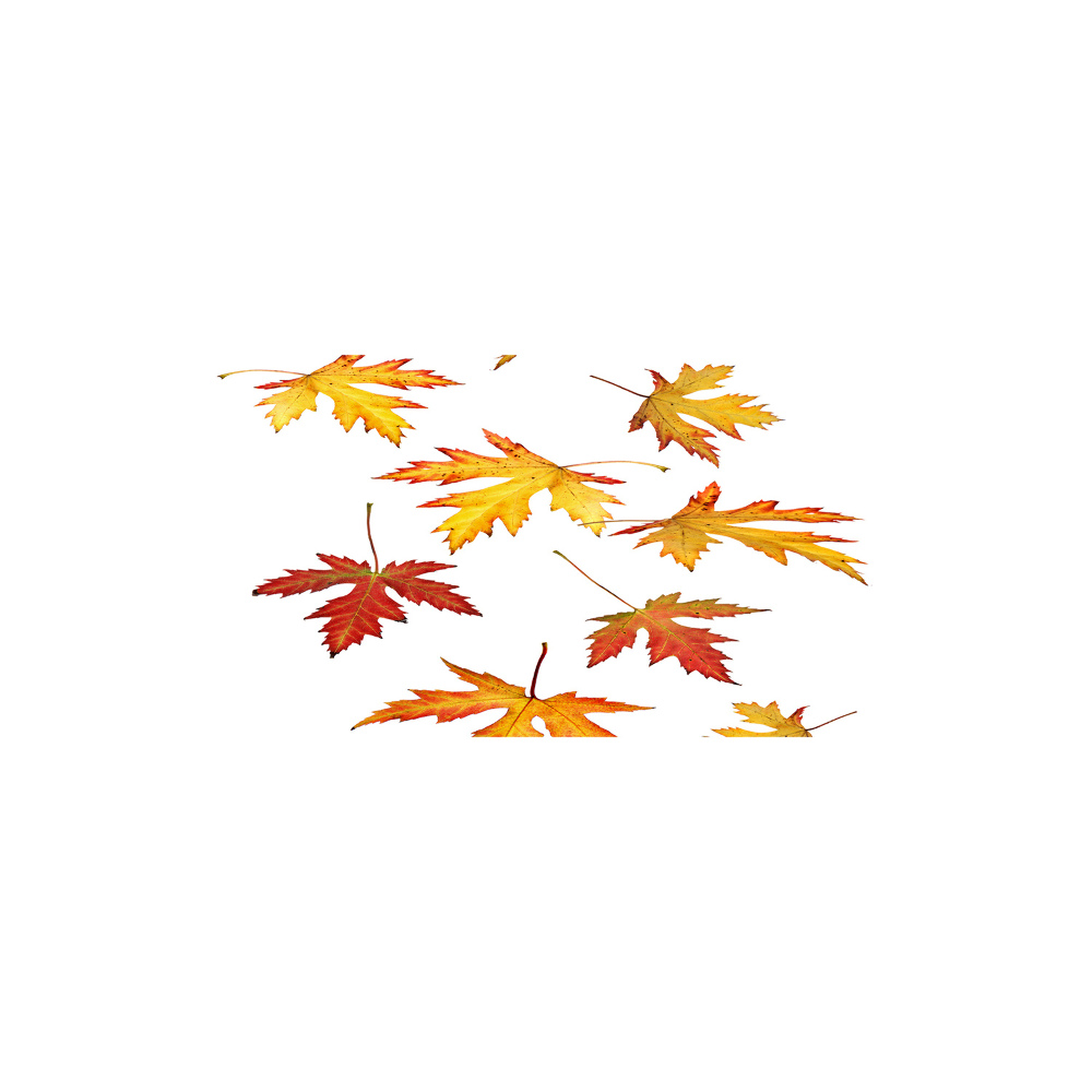 Wall art acrylic Autumn leaves