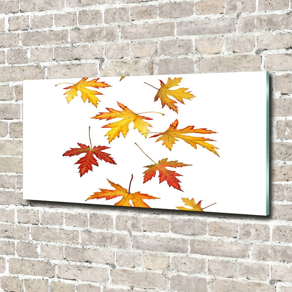 Wall art acrylic Autumn leaves