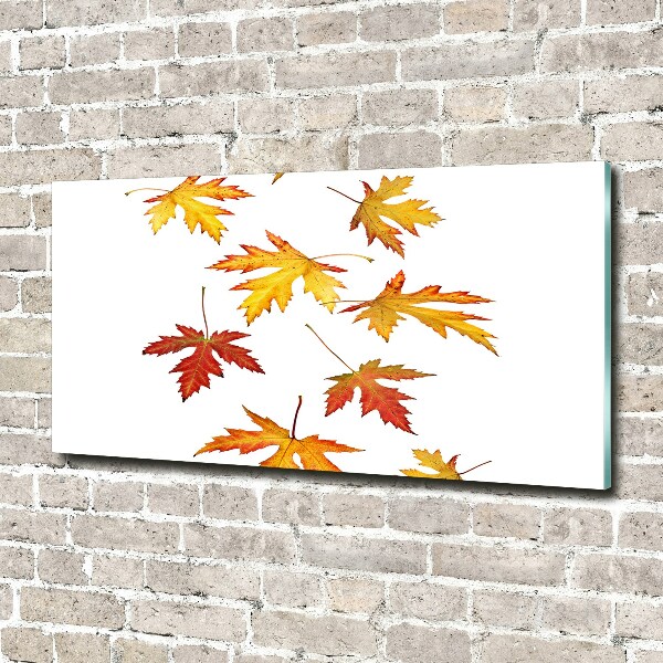 Wall art acrylic Autumn leaves