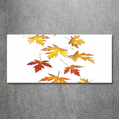 Wall art acrylic Autumn leaves