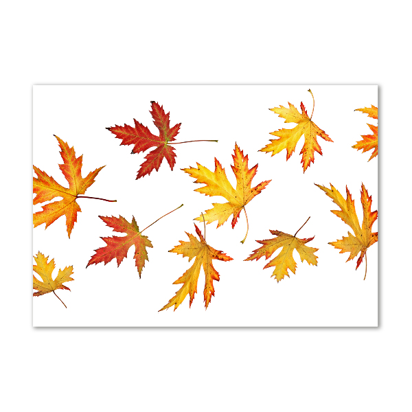 Wall art acrylic Autumn leaves