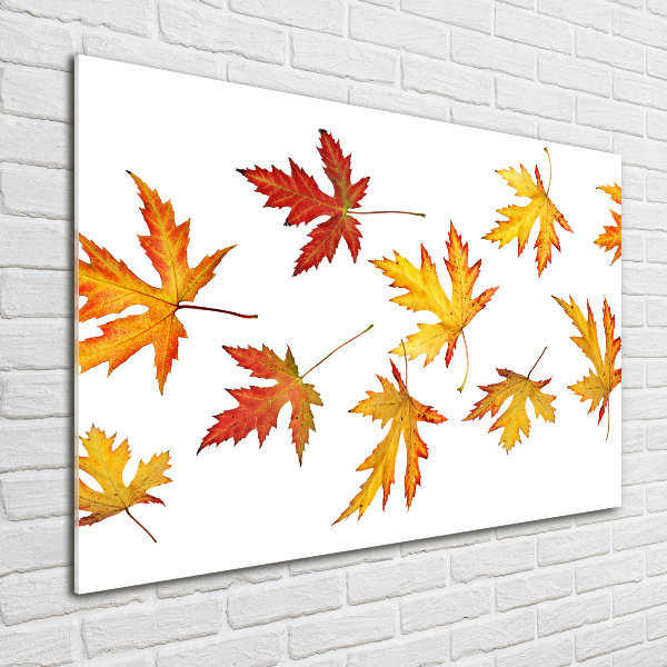 Wall art acrylic Autumn leaves