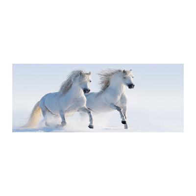 Wall art acrylic Two horses in the snow