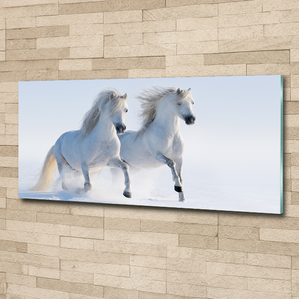 Wall art acrylic Two horses in the snow