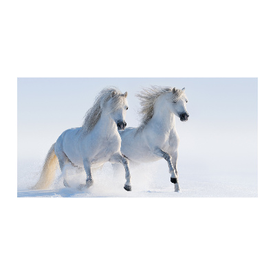 Wall art acrylic Two horses in the snow