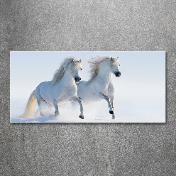 Wall art acrylic Two horses in the snow