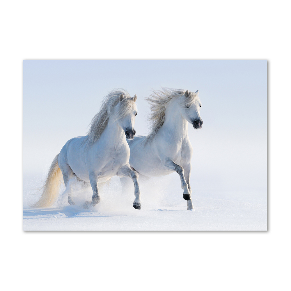 Wall art acrylic Two horses in the snow