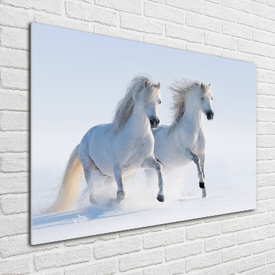 Wall art acrylic Two horses in the snow