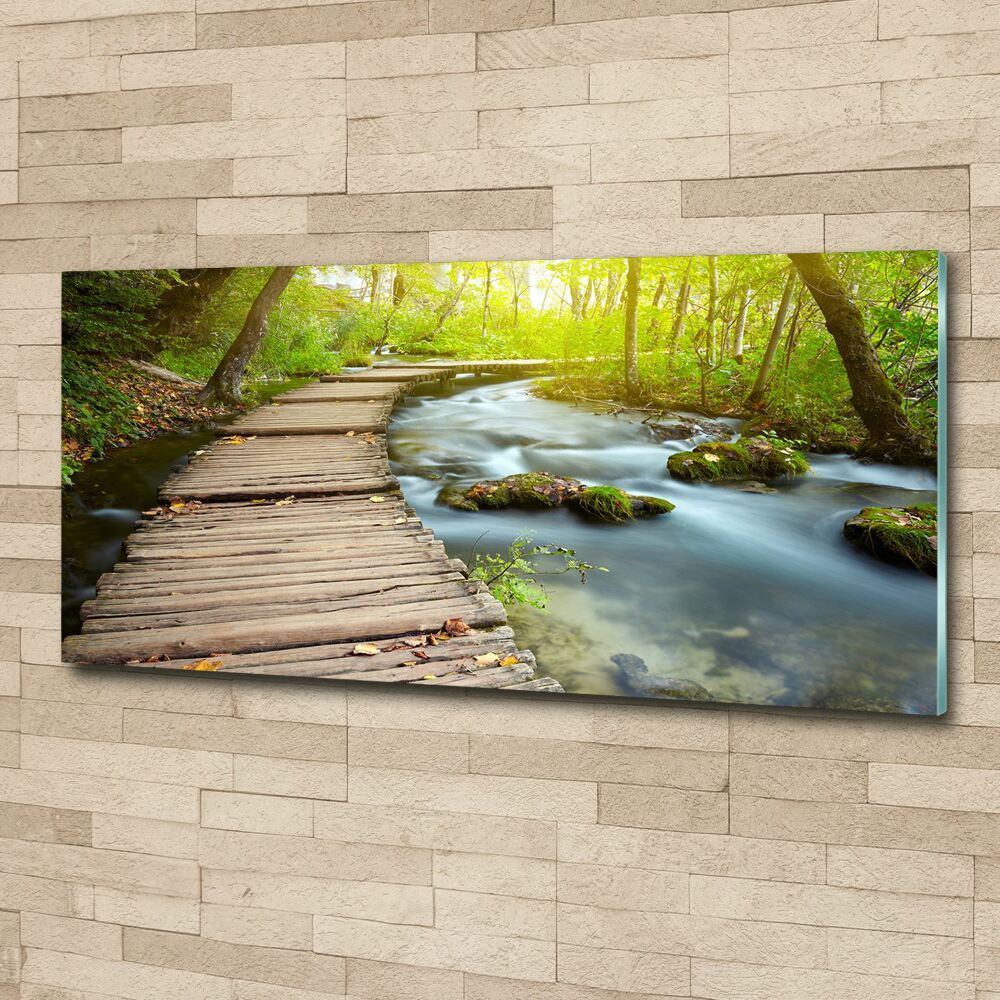 Acrylic wall art Path over the river